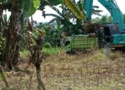 Bisnis Tambang “Siluman” Kadus Sokkolia Resahkan Warga