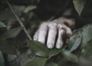 Mayat Wanita Terikat Tanpa Busana Gemparkan Warga