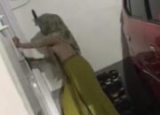 Mama Muda di Makassar Labrak Selingkuhan Suami Diusir dari Rumah