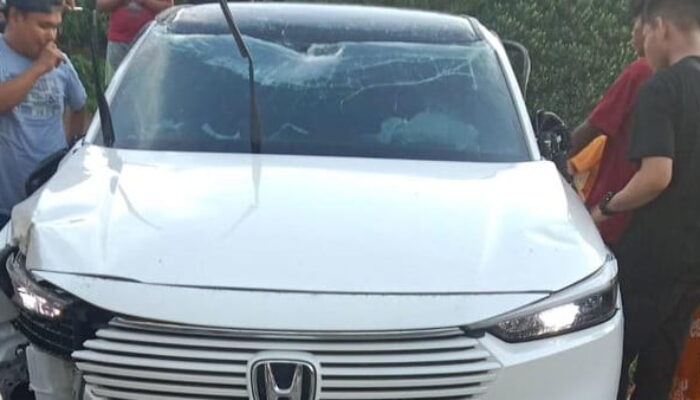 Gadis ABG di Pinrang yang Baru Belajar Nyetir Tabrak Pohon Diberi Sanksi