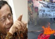 Mahfud MD Menyayangkan Tindakan Kader HMI Bakar Bendera PDIP