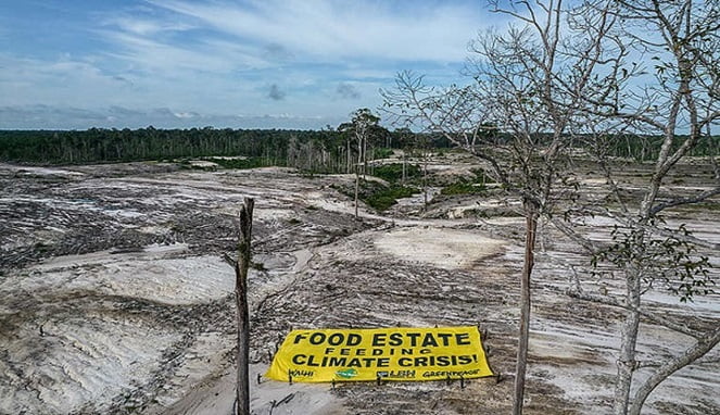 Ilustrasi. Foto: greenpeace.org