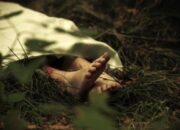 Digauli hingga Hamil, Tagih Janji Sang Dukun, Pasutri Tewas Dibunuh