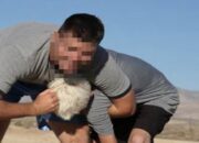 Viral, Panglima TNI Perintahkan Piting Rakyat Rempang