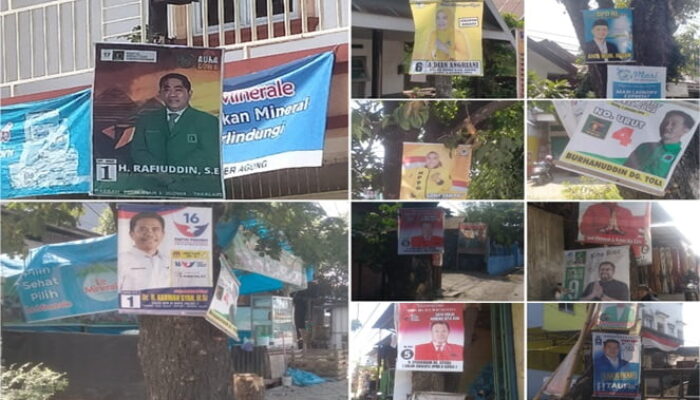 Penampakan Caleg Penghuni Pohon Bertebaran di Gowa