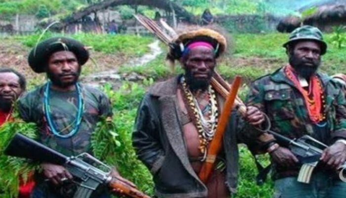 KKB Ngamuk, Tembak 2 Warga, Bakar Rumah Dinas DPRD dan 7 Kios