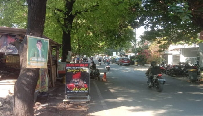 Baliho Bacaleg Anak Bos SPBU di Makassar Tebar Pesona di Sejumlah Pohon