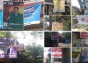 Pohon-pohon Korban Politik Disikat Warga Bogor, Sulsel Jangan Diam