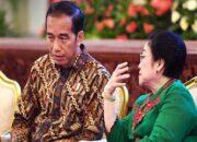 Politik 2 Kaki Dilegalkan PDIP 2014, Tapi Keteteran Dilakukan Jokowi di Pilpres 2024
