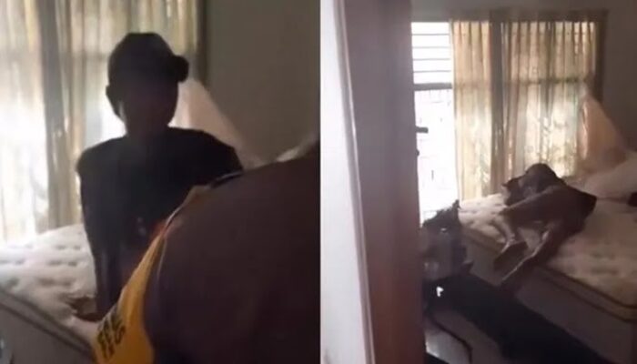 Apes, Maling Kurang Ngopi, Tertidur Pulas di Kamar Pemilik Rumah