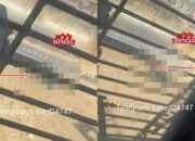 Biadab, Tentara Israel Lindas Warga Palestina dengan Buldozer