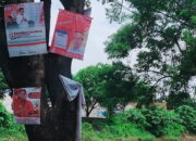 Caleg “Tena Modala’na” Bertengger di Pohon, Bawaslu Makassar Tak Becus