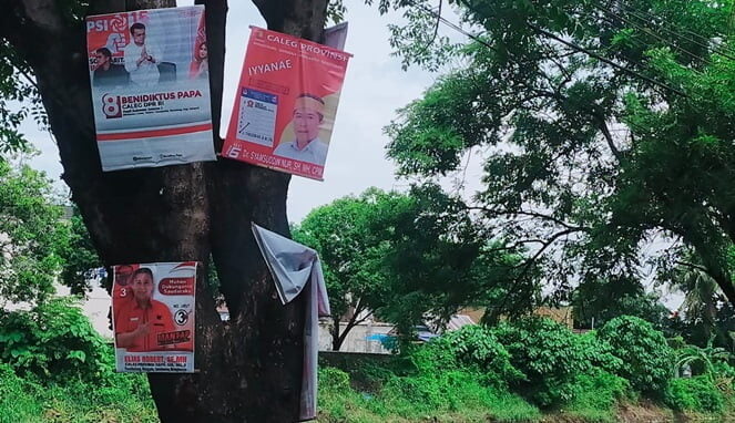 Caleg “Tena Modala’na” Bertengger di Pohon, Bawaslu Makassar Tak Becus