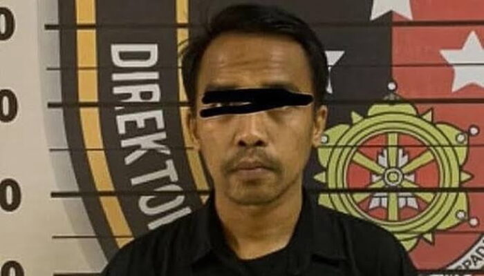 Politisi PDIP Guntur Romli Bela Aulia Rakhman si Penista Agama