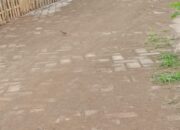 Rugikan Negara, Proyek Paving Block di Kalebarembeng Terindikasi Dimark-up