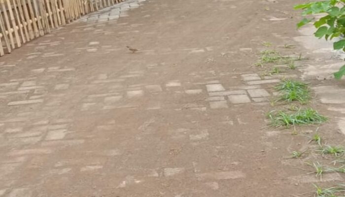 Rugikan Negara, Proyek Paving Block di Kalebarembeng Terindikasi Dimark-up