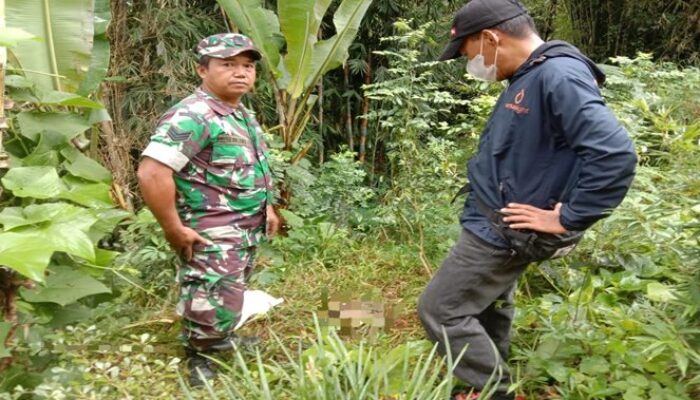 Warga Marante Temukan Potongan Tubuh Bayi Dibawa Anjing