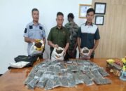 Bawa Ganja 2 Warga Asing Ditangkap Polda Papua