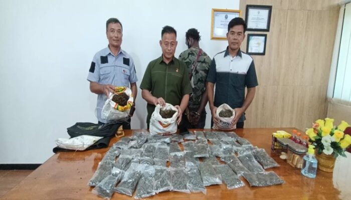 Bawa Ganja 2 Warga Asing Ditangkap Polda Papua