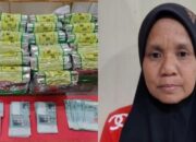 Bawa Sabu Warga Pinrang Ditangkap Polisi