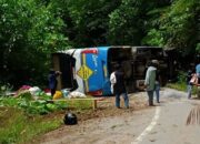 Bus Damri Terguling di Jalan Trans Tentena-Bada Sulteng