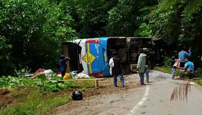Bus Damri Terguling di Jalan Trans Tentena-Bada Sulteng