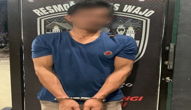 Pelaku penusukan di wajo