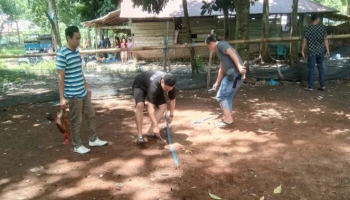 Polisi Bubarkan Judi Sabung Ayam di Telluwanua