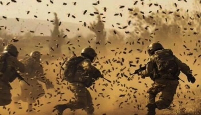 Sebanyak 12 Tentara Israel Terluka Disengat Kawanan Lebah