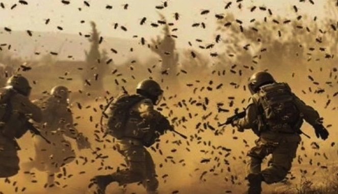 Sebanyak 12 Tentara Israel Terluka Disengat Kawanan Lebah (ilustrasi)