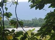 Polres Lutim Tak ‘Berdaya’ Dalam Pemberantasan Tambang Liar di Kalaena