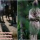 Viral! Anggota TNI Ternyata Pingsan Bukan karena Pocong, Tapi Ini