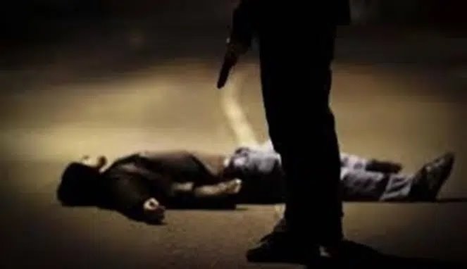 Pekerja Proyek Tewas Ditembak dari Jarak Dekat oleh KKB di Papua