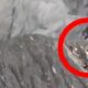 Viral Pendaki Terjebak Erupsi Gunung Dukono Terekam Kamera
