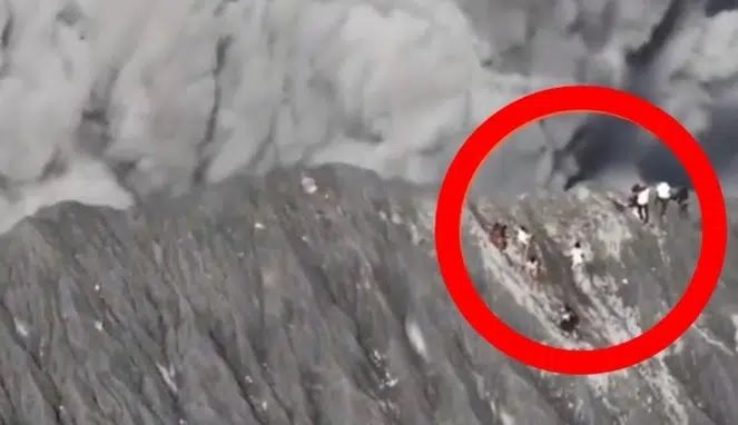 Viral Pendaki Terjebak Erupsi Gunung Dukono Terekam Kamera