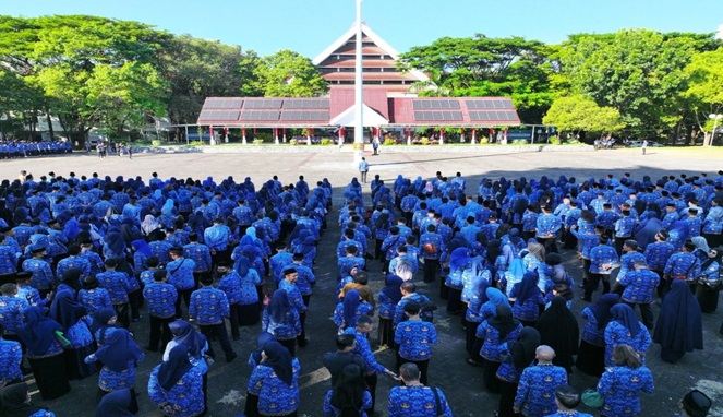 Persoalan ASN Nonjob Jadi Malapetaka Administratif di Era Andi Sudirman