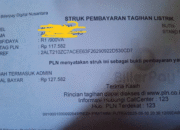 Uang Rp 7 Ribu per Kepala, Begini Cara Mitra PLN Diduga Kuras Pelanggan