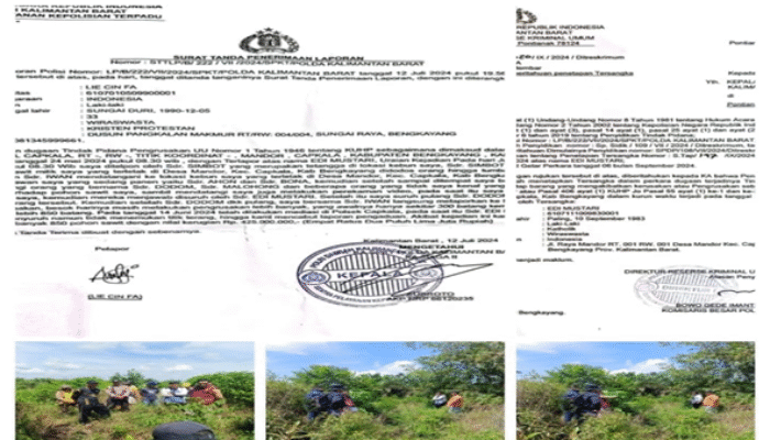 850 Pohon Sawit Hancur, Hukum di Kalbar Seakan Mati Suri