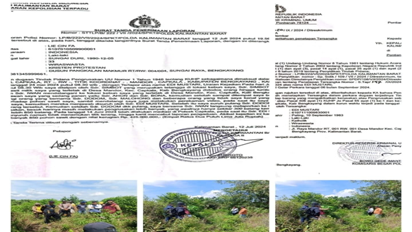 850 Pohon Sawit Hancur, Hukum di Kalbar Seakan Mati Suri