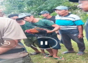 Arena Judi Sabung Ayam di Kajang Bebas Beroperasi, Polisi Diduga Tutup Mata