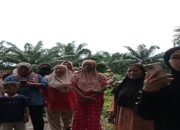 Aksi Massa Menggulung Proyek Yon TP 868, Warga Desak Penghentian Total