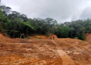 Hutan Lindung Bawakaraeng–Lompobattang Digunduli, Perambah Bebas Beraksi