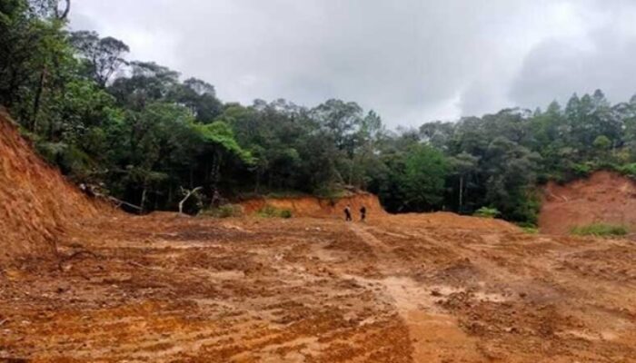Hutan Lindung Bawakaraeng–Lompobattang Digunduli, Perambah Bebas Beraksi
