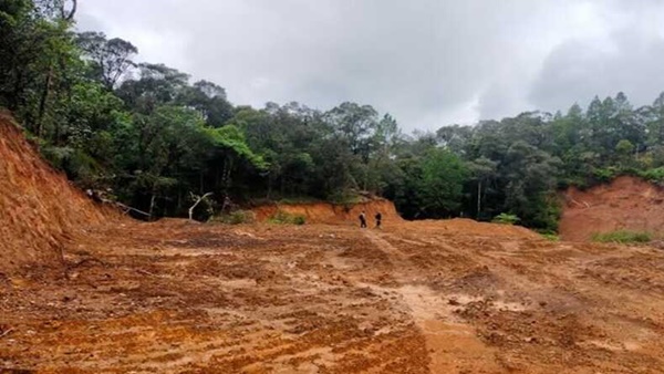 Hutan Lindung Bawakaraeng–Lompobattang Digunduli, Perambah Bebas Beraksi