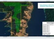 BPK Ungkap Tambang di Luar SK PPKH, Penegakan Hukum Masih Mandek