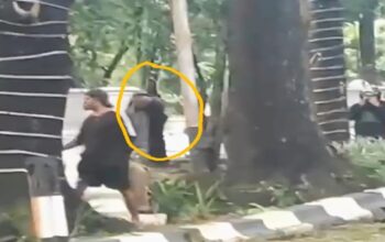 Busur Terekam Kamera, Demo DOB Luwu Tengah Guncang Kantor Gubernur