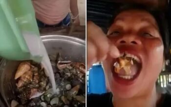 Demi Konten Seafood, Influencer Filipina Meninggal Usai Makan “Kepiting Setan”