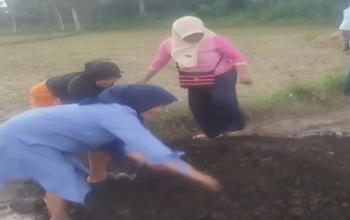 Dikasih Suara, Dibalas Jalan Hancur, Warga Jeneponto Murka!