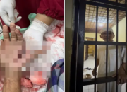 Miris! Tokoh Penentang Prostitusi di Jeneponto Malah Dibui Meski Tangan Nyaris Putus