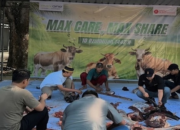 Tiga Sapi “KO” di MaxOne Makassar, Ratusan Warga Langsung Bawa Pulang Daging Kurban